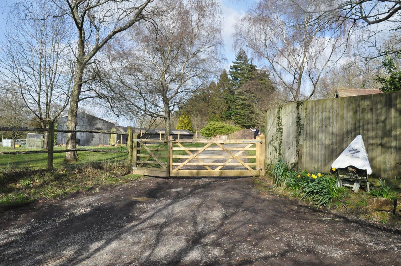 Wadhurst 리틀 타이드브룩 팜 B&B 외부 사진
