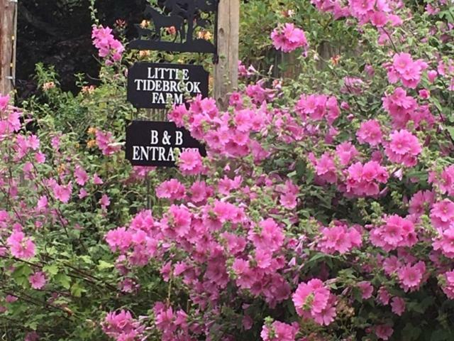 Wadhurst 리틀 타이드브룩 팜 B&B 외부 사진